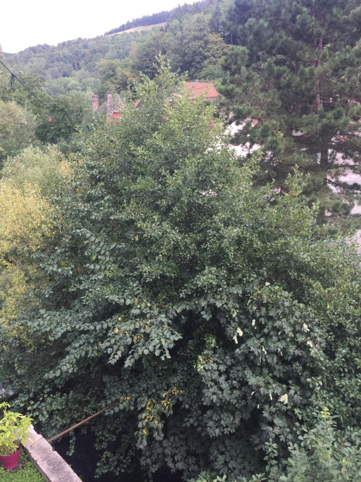 Chambres D'Hotes A La Fecht Nature Et Bien-Etre Sondernach Dış mekan fotoğraf